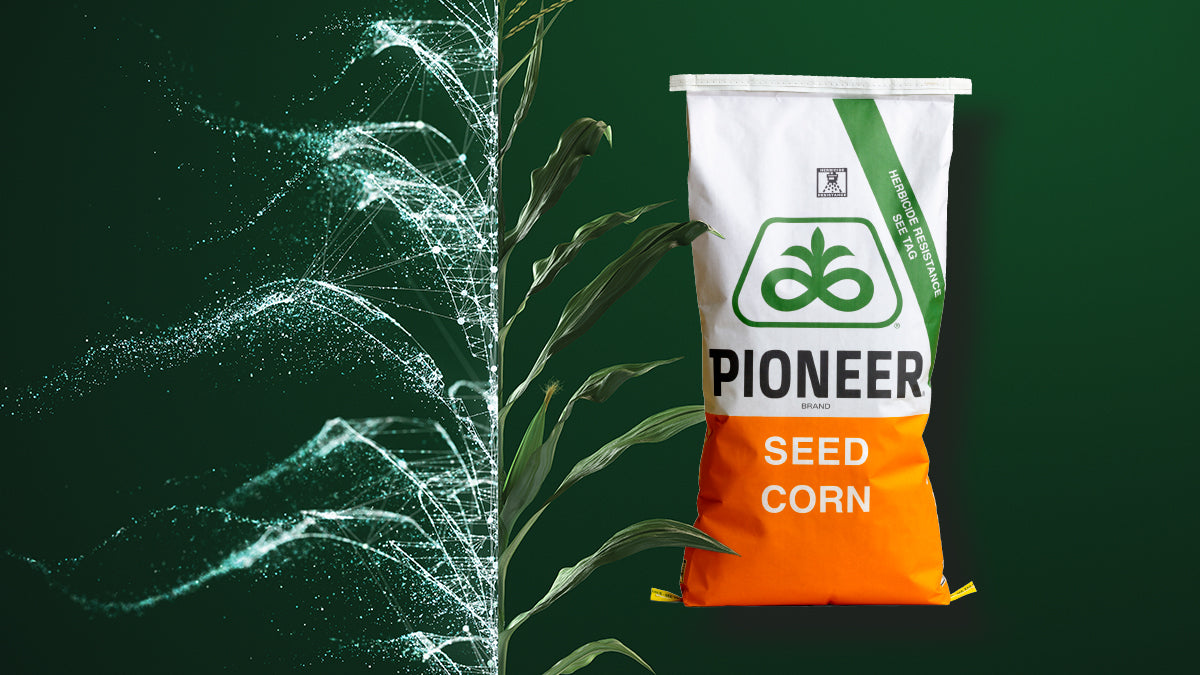 PIONEER SEED PRODUCTS CONTACT FOR INFO